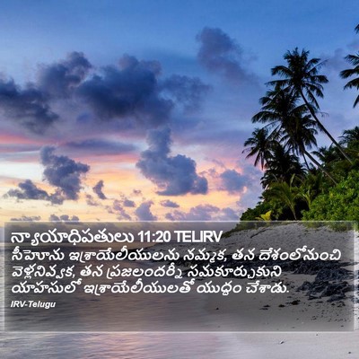 న్యాయాధిపతులు 11:20 TELIRV Bible Verse Image