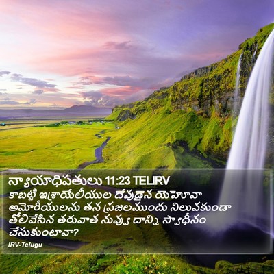 న్యాయాధిపతులు 11:23 TELIRV Bible Verse Image
