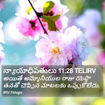 న్యాయాధిపతులు 11:28 TELIRV Bible Verse Image