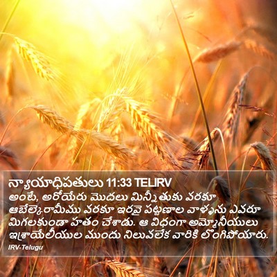 న్యాయాధిపతులు 11:33 TELIRV Bible Verse Image