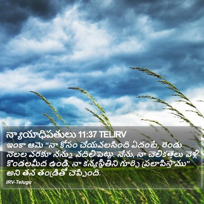 న్యాయాధిపతులు 11:37 TELIRV Bible Verse Image