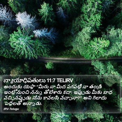 న్యాయాధిపతులు 11:7 TELIRV Bible Verse Image