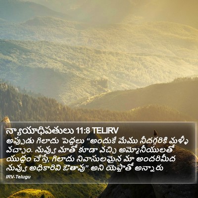 న్యాయాధిపతులు 11:8 TELIRV Bible Verse Image