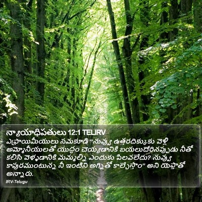 న్యాయాధిపతులు 12:1 TELIRV Bible Verse Image