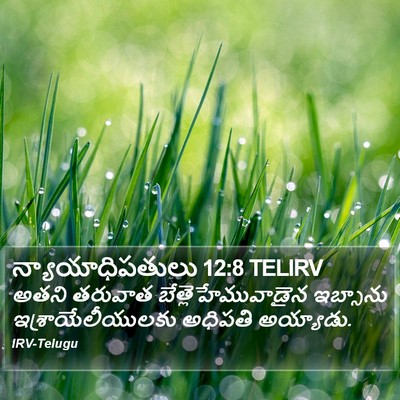 న్యాయాధిపతులు 12:8 TELIRV Bible Verse Image