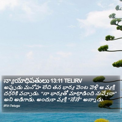 న్యాయాధిపతులు 13:11 TELIRV Bible Verse Image