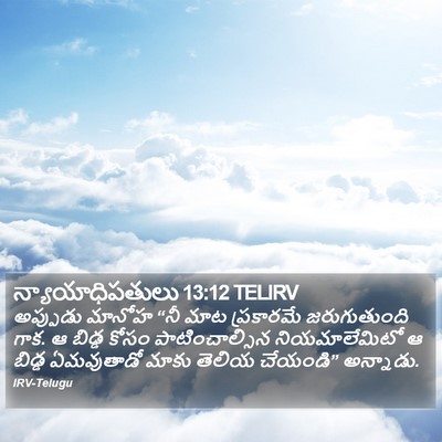 న్యాయాధిపతులు 13:12 TELIRV Bible Verse Image