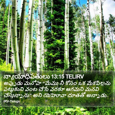న్యాయాధిపతులు 13:15 TELIRV Bible Verse Image