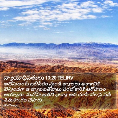 న్యాయాధిపతులు 13:20 TELIRV Bible Verse Image