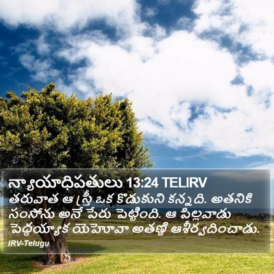 న్యాయాధిపతులు 13:24 TELIRV Bible Verse Image
