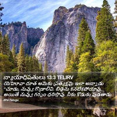 న్యాయాధిపతులు 13:3 TELIRV Bible Verse Image