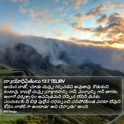 న్యాయాధిపతులు 13:7 TELIRV Bible Verse Image