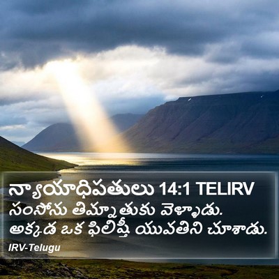 న్యాయాధిపతులు 14:1 TELIRV Bible Verse Image