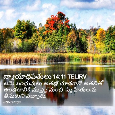 న్యాయాధిపతులు 14:11 TELIRV Bible Verse Image