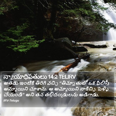 న్యాయాధిపతులు 14:2 TELIRV Bible Verse Image
