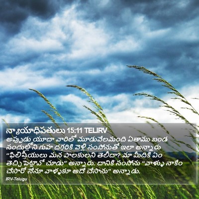 న్యాయాధిపతులు 15:11 TELIRV Bible Verse Image