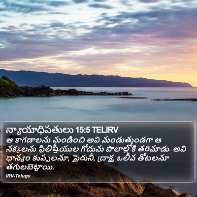 న్యాయాధిపతులు 15:5 TELIRV Bible Verse Image