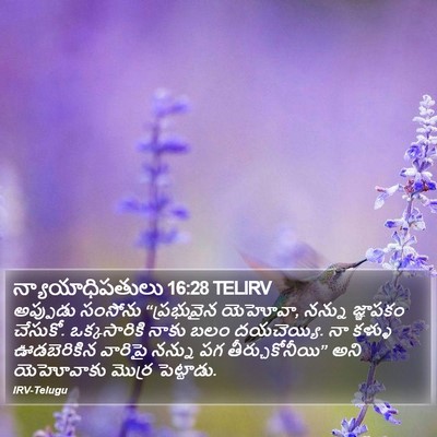 న్యాయాధిపతులు 16:28 TELIRV Bible Verse Image