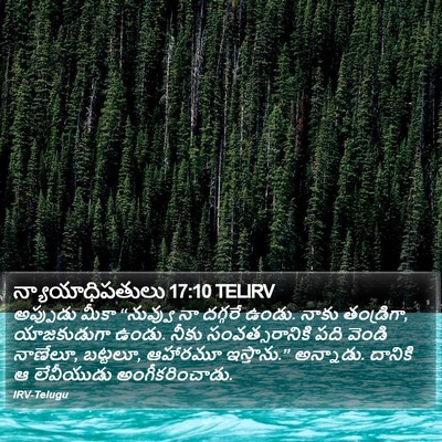 న్యాయాధిపతులు 17:10 TELIRV Bible Verse Image
