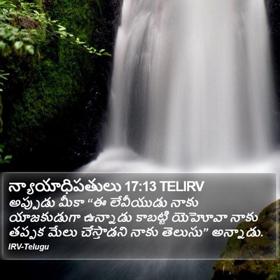న్యాయాధిపతులు 17:13 TELIRV Bible Verse Image