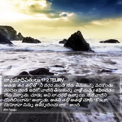 న్యాయాధిపతులు 17:2 TELIRV Bible Verse Image