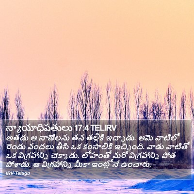 న్యాయాధిపతులు 17:4 TELIRV Bible Verse Image