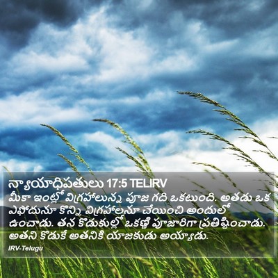 న్యాయాధిపతులు 17:5 TELIRV Bible Verse Image
