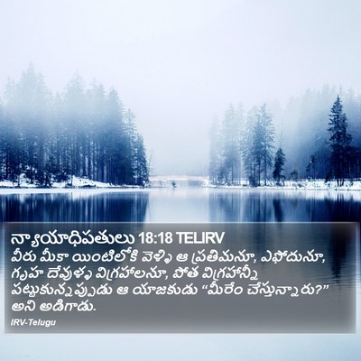 న్యాయాధిపతులు 18:18 TELIRV Bible Verse Image