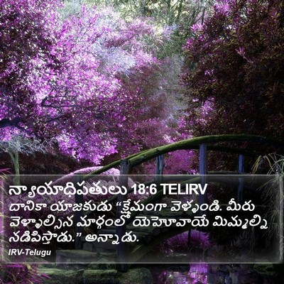 న్యాయాధిపతులు 18:6 TELIRV Bible Verse Image