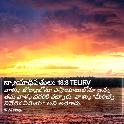 న్యాయాధిపతులు 18:8 TELIRV Bible Verse Image