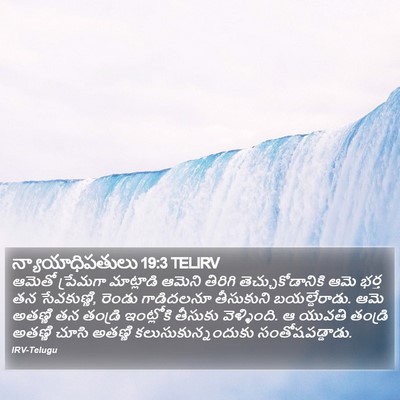 న్యాయాధిపతులు 19:3 TELIRV Bible Verse Image