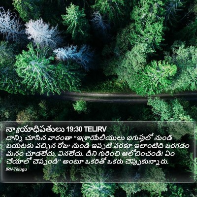 న్యాయాధిపతులు 19:30 TELIRV Bible Verse Image