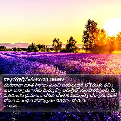 న్యాయాధిపతులు 2:1 TELIRV Bible Verse Image