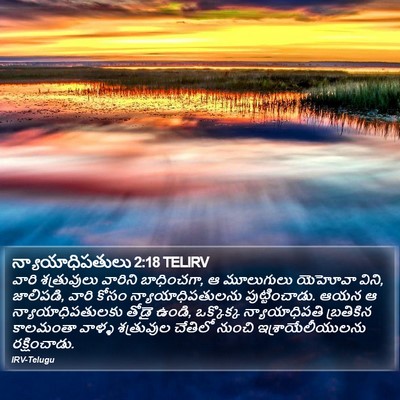 న్యాయాధిపతులు 2:18 TELIRV Bible Verse Image