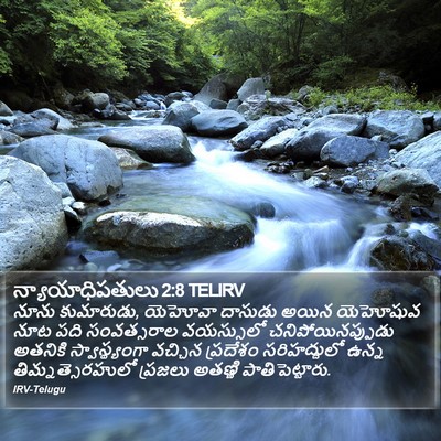 న్యాయాధిపతులు 2:8 TELIRV Bible Verse Image
