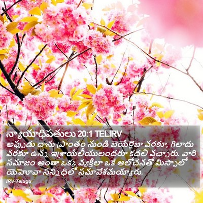 న్యాయాధిపతులు 20:1 TELIRV Bible Verse Image
