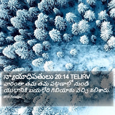 న్యాయాధిపతులు 20:14 TELIRV Bible Verse Image