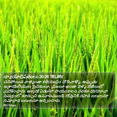 న్యాయాధిపతులు 20:26 TELIRV Bible Verse Image