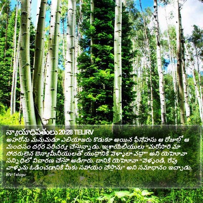 న్యాయాధిపతులు 20:28 TELIRV Bible Verse Image