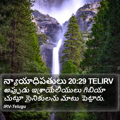 న్యాయాధిపతులు 20:29 TELIRV Bible Verse Image