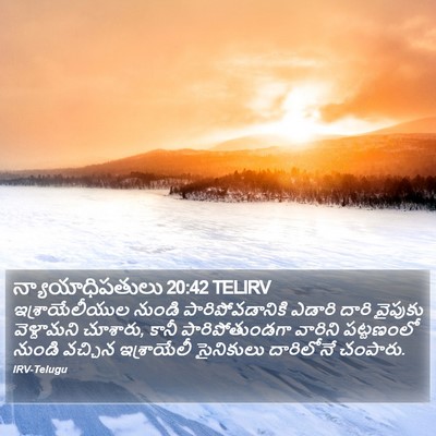 న్యాయాధిపతులు 20:42 TELIRV Bible Verse Image