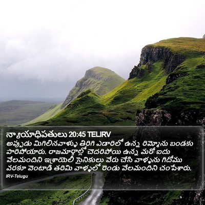 న్యాయాధిపతులు 20:45 TELIRV Bible Verse Image