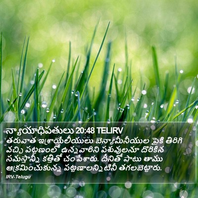న్యాయాధిపతులు 20:48 TELIRV Bible Verse Image