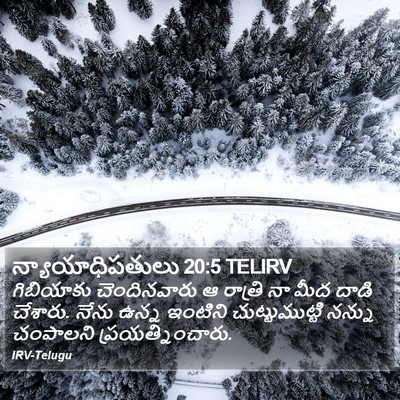 న్యాయాధిపతులు 20:5 TELIRV Bible Verse Image