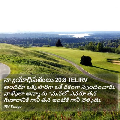 న్యాయాధిపతులు 20:8 TELIRV Bible Verse Image