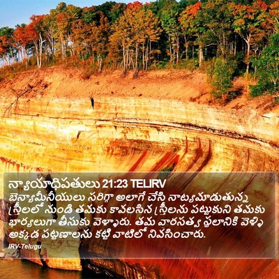 న్యాయాధిపతులు 21:23 TELIRV Bible Verse Image
