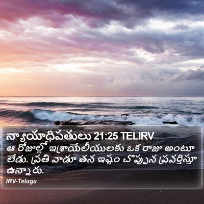 న్యాయాధిపతులు 21:25 TELIRV Bible Verse Image