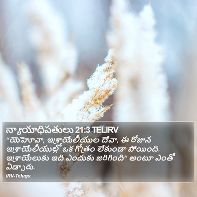 న్యాయాధిపతులు 21:3 TELIRV Bible Verse Image
