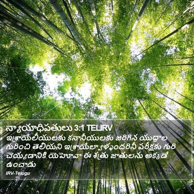 న్యాయాధిపతులు 3:1 TELIRV Bible Verse Image
