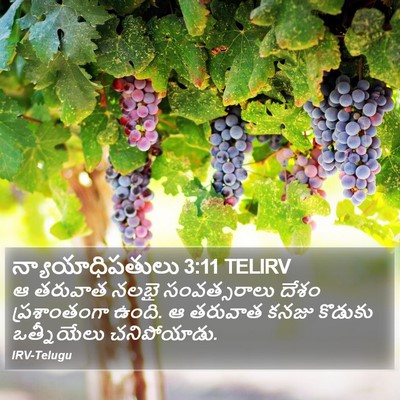 న్యాయాధిపతులు 3:11 TELIRV Bible Verse Image